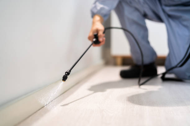 Certified termite inspector examining foundation in Dearborn Heights
